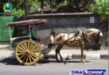 Delman Alat Transportasi Yang Pernah Berjaya – Dinas Komunikasi dan Informatika Kab. Magetan