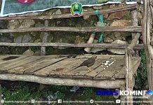 Mengenal Jalak Lawu, Dari Mitos Tugas Wongso Menggolo Hingga Sejarah Pengasingan Raja Brawijaya di Puncak Gunung Lawu.
