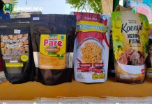 30 Produk UMKM Magetan Tembus Toko Retai – Dinas Komunikasi dan Informatika Kab. Magetan