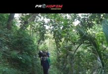 Cara sederhana mencintai bumi kita adalah diantaranya menanam lalu merawatnya.
…