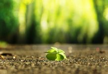Sangat krusial! Jaga Kesehatan Jiwa Anda dengan 5 Tips Sederhana Ini Kesehatan jiwa