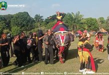Yuk Lebih Jauh Mengenal Seni Tradisional Gajah Gajahan Dari Desa Bungkuk Parang – Dinas Komunikasi dan Informatika Kab. Magetan
