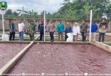 Hanpangan,Selain Komoditas Bahan Pangan Utama Juga Sasar Protein Hewani – Dinas Komunikasi dan Informatika Kab. Magetan
