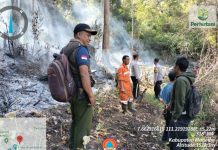 BERUNTUNG KEBAKARAN HUTAN GUNUNG LAWU BULAN AGUSTUS 2024 BERHASIL DIPADAMKAN