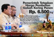 Pemerintah Tetapkan Harga Pembelian Gabah Kering Panen Sebesar Rp 6.500 per Kilogram – Dinas Komunikasi dan Informatika Kab. Magetan
