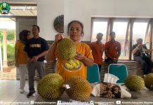 Yuk.. Kenalan Dengan Gambreng Asal Bedagung Panekan – Dinas Komunikasi dan Informatika Kab. Magetan