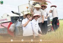 Kunjungan Komisi IV DPR RI Ke Magetan, Petani Tersenyum Lega – Dinas Komunikasi dan Informatika Kab. Magetan