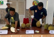 Lomba Cita Rasa dan Berat Durian Meriahkan Rangkaian Festival Durian Nak’nan Panekan – Dinas Komunikasi dan Informatika Kab. Magetan