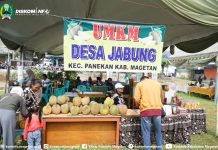 UMKM Desa Jabung Promosikan Produk Unggulan Desa Pada Festival Duren Nak’nan Panekan 2025 – Dinas Komunikasi dan Informatika Kab. Magetan