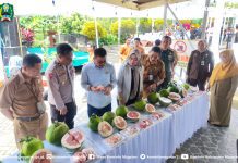 Festival Pamelo Magetan 2025, Buah Khas Andalan Bumi Mageti – Dinas Komunikasi dan Informatika Kab. Magetan