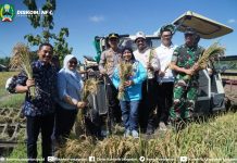 Wujudkan Kedaulatan Pangan, Magetan Ikuti Panen Raya Padi Serentak di 14 Provinsi bersama Presiden Prabowo
