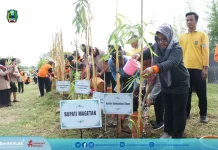 1310 ASN Naik Pangkat, CPNS dan PPPK, tanam bambu di Eco Bamboo Park