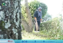 Selamat Hari Lingkungan Hidup Sedunia, Pemkab Magetan Melaksanakan Jumingsih