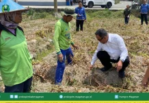 Wakil Bupati Magetan Temui Petani Kentang Desa Pacalan, Bantu Urai Masalah