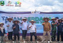 Pemkab Magetan Gelar Tanam Perdana Bongkar Ratoon 2025, Dukung Swasembada Gula Nasional