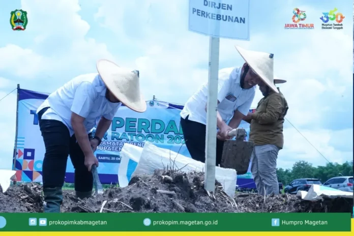 Wakil Bupati Magetan Tanam Tebu bersama Petani Bendo – Magetan
