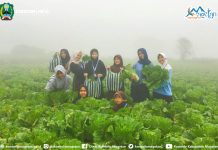 “Jika Aku Jadi Orang Desa “, Kampung Susu Magetan. Wisatawan Rela Ber- Kotor kotor Ria demi Sebuah Kenangan dan Pengalaman