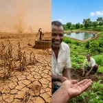 Dampak Kemarau Panjang dan Cara Mengatasinya