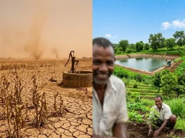 Dampak Kemarau Panjang dan Cara Mengatasinya