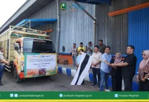 Magetan Turun Tangan! Peternak Ayam Kini Bisa Lega, Bapanas Kirim Ribuan Ton Jagung Murah!