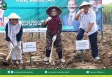 Tanam Perdana Program Bongkar Ratoon Tebu di Jawa Timur tahun 2026 bersama Gubernur Jawa Timur