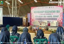 Workshop Kesehatan Ibu Dalam Rangka Gerakan Ibu Hamil Sehat