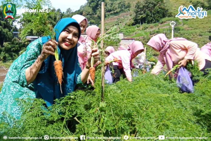 Serunya, Ibu PKK Magetan Kenalkan Wisata Petik Sayur di Desa
